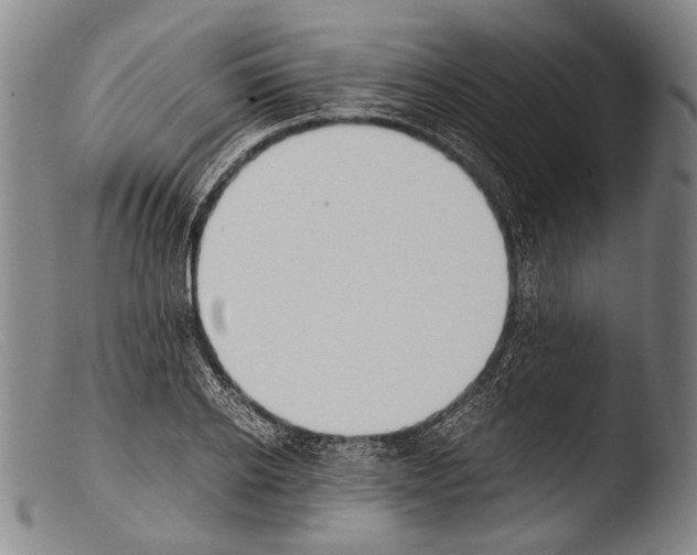 X0000103940934200810311522