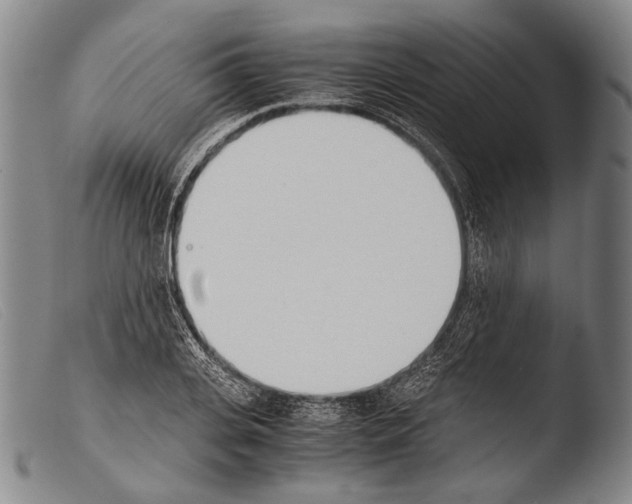 X0000103940935200810311522