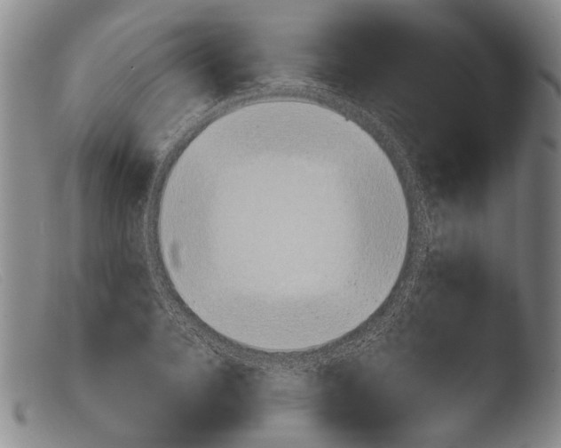 X0000103940936200810311522