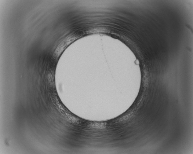 X0000103940937200810311522