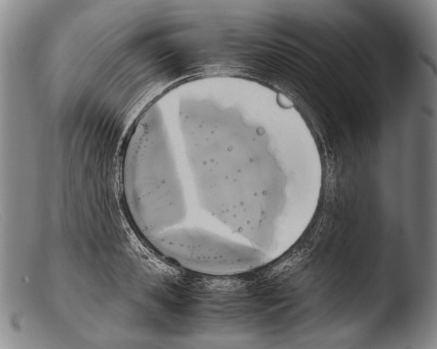 X0000103940941200810311522