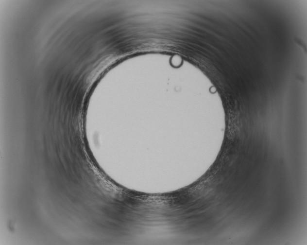 X0000103940942200810311522