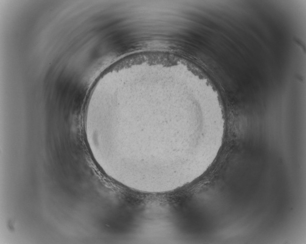 X0000103940944200810311522