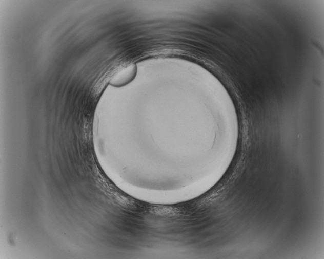 X0000103940945200810311522