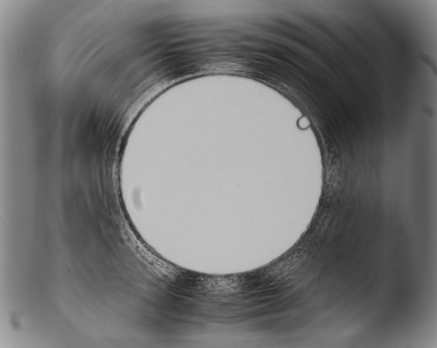 X0000103940947200810311522