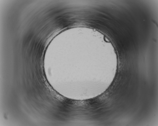 X0000103940949200810311522