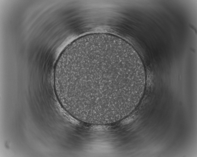 X0000103940950200810311522