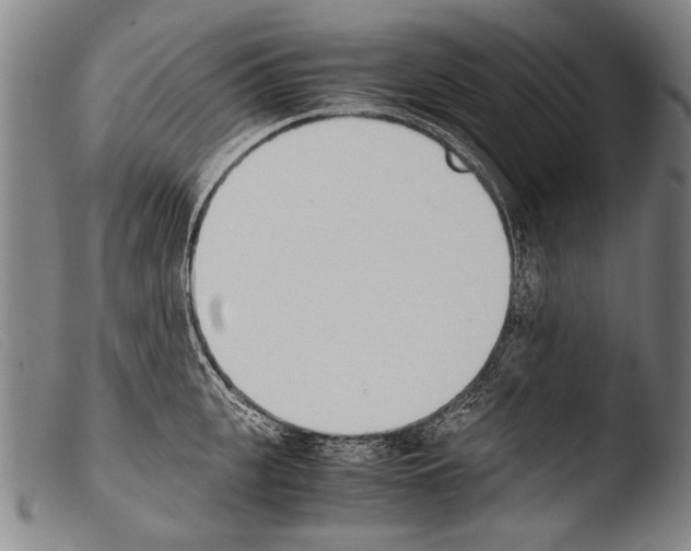 X0000103940951200810311522