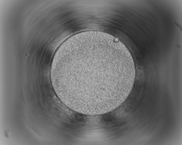 X0000103940952200810311522