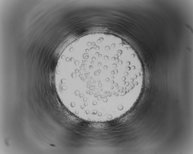 X0000103940953200810311522