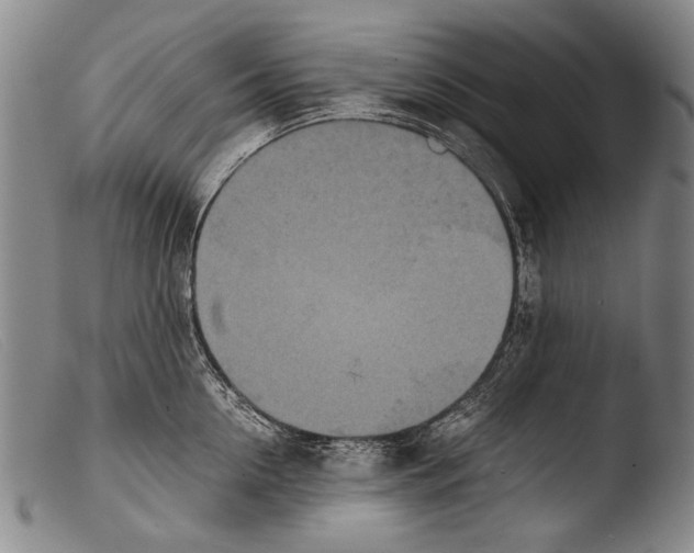 X0000103940954200810311522