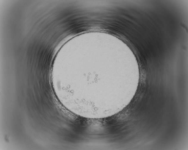 X0000103940955200810311523