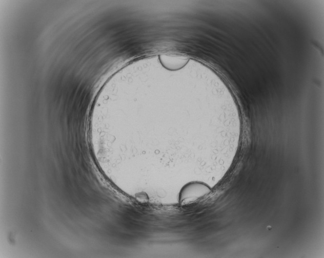 X0000103940957200810311523