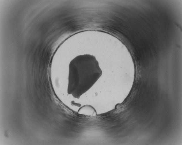 X0000103940958200810311523