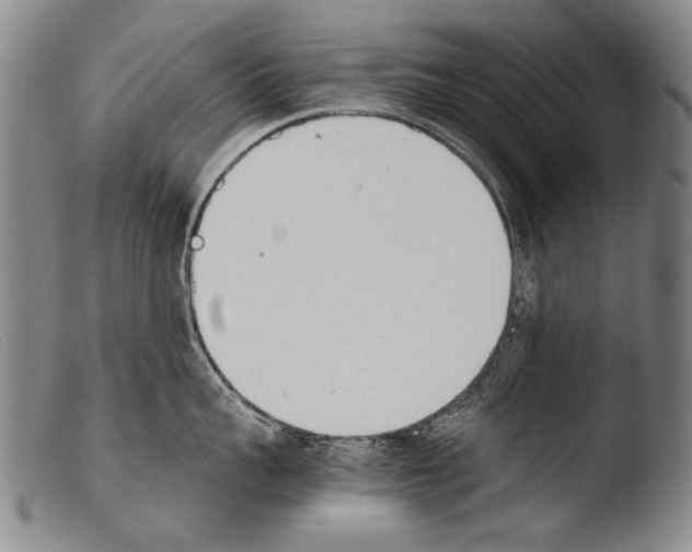 X0000103940959200810311523