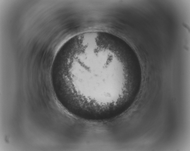 X0000103940960200810311523