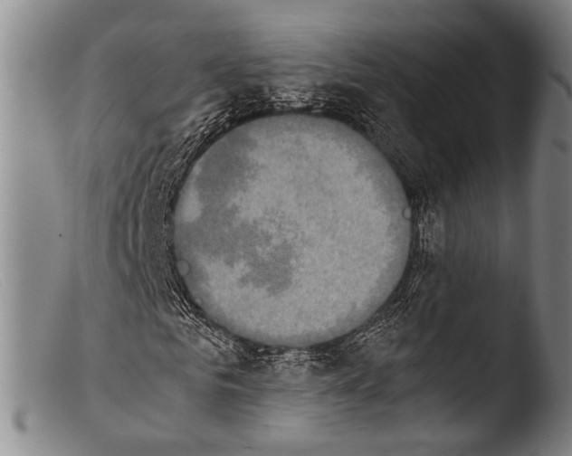 X0000103940961200810311522