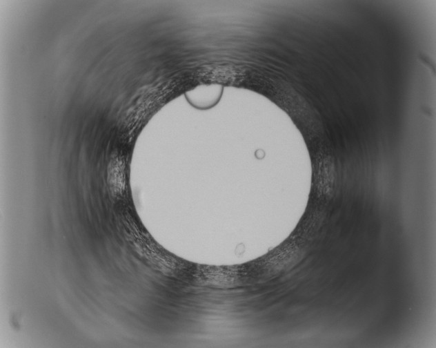 X0000103940962200810311522