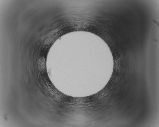 X0000103940963200810311522