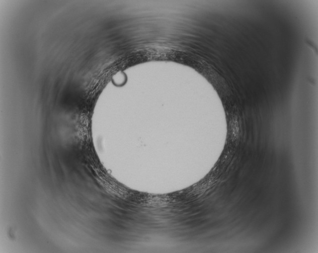 X0000103940964200810311522