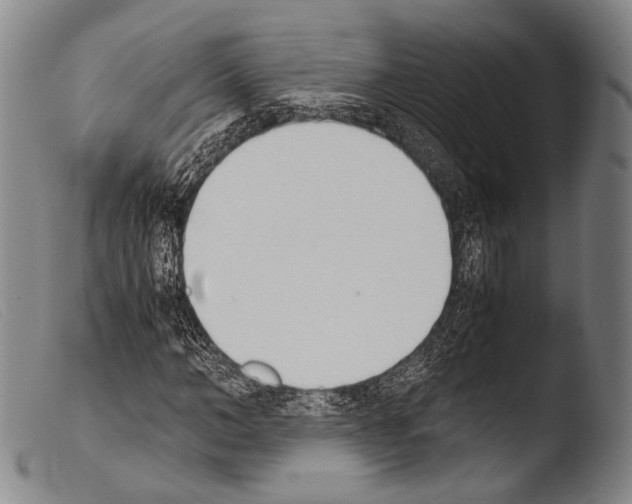 X0000103940966200810311522