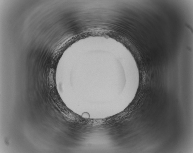 X0000103940968200810311522