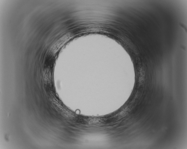 X0000103940969200810311522