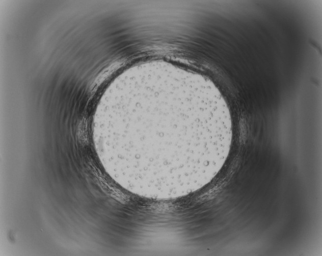 X0000103940970200810311522