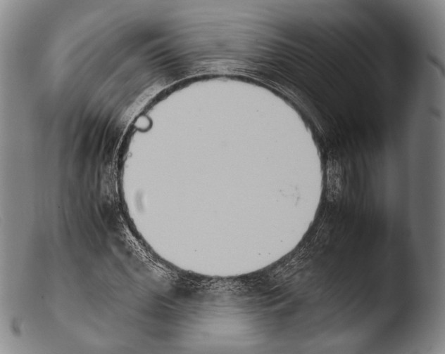 X0000103940972200810311522