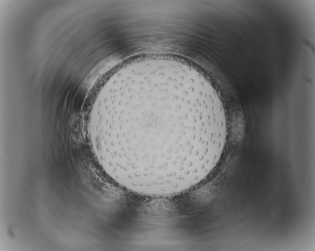 X0000103940974200810311522