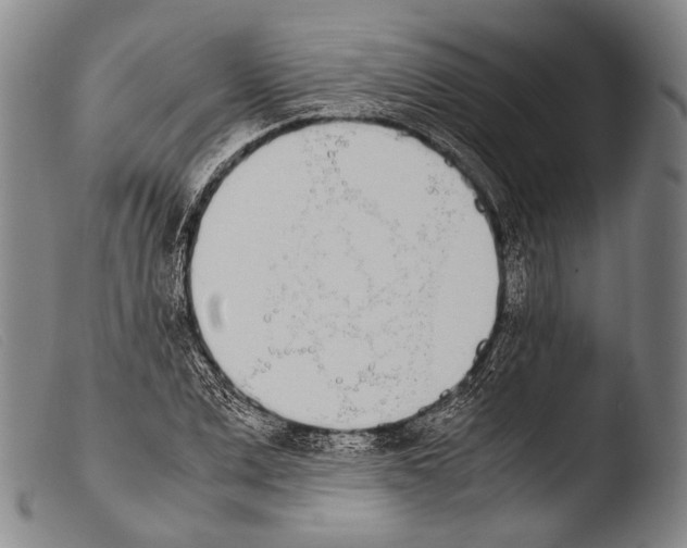 X0000103940975200810311522