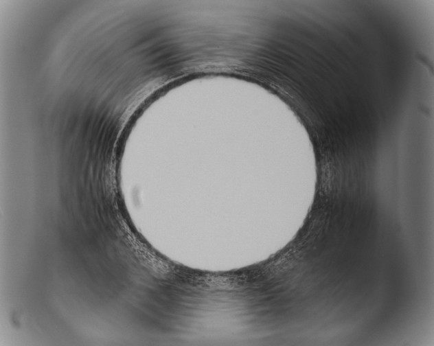 X0000103940976200810311522