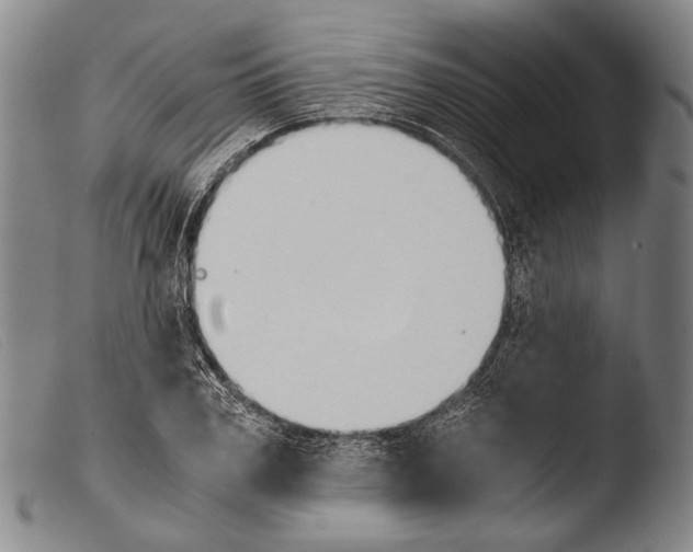 X0000103940979200810311522