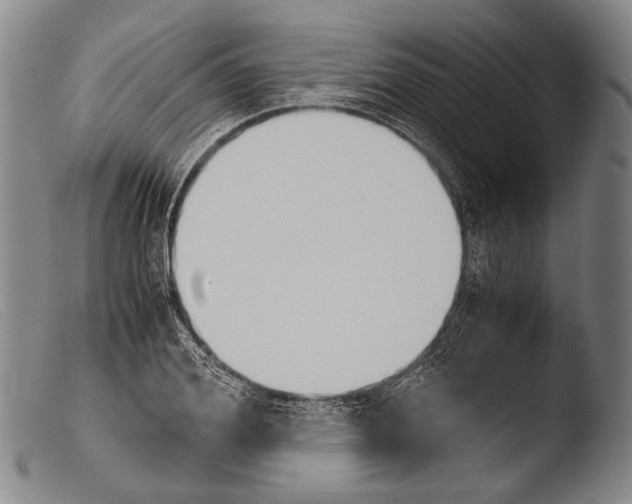 X0000103940980200810311522