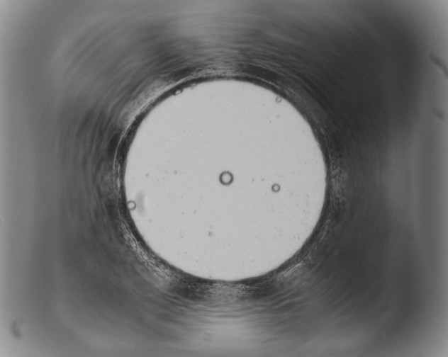 X0000103940981200810311522