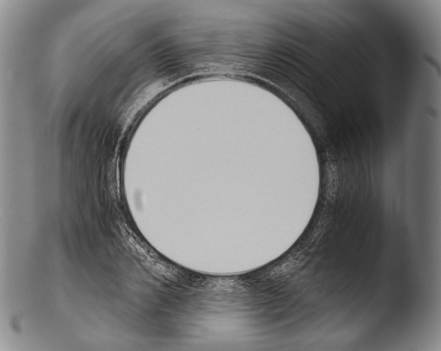 X0000103940982200810311522