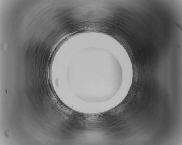 X0000103940984200810311522