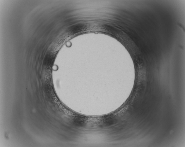 X0000103940985200810311522