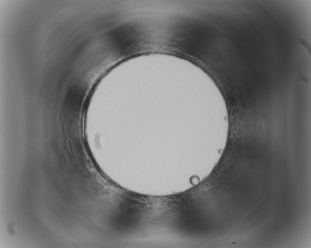 X0000103940987200810311522