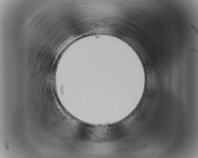 X0000103940989200810311522