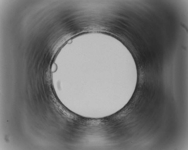 X0000103940990200810311521