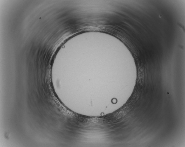 X0000103940992200810311521