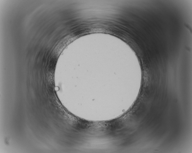 X0000103940993200810311521