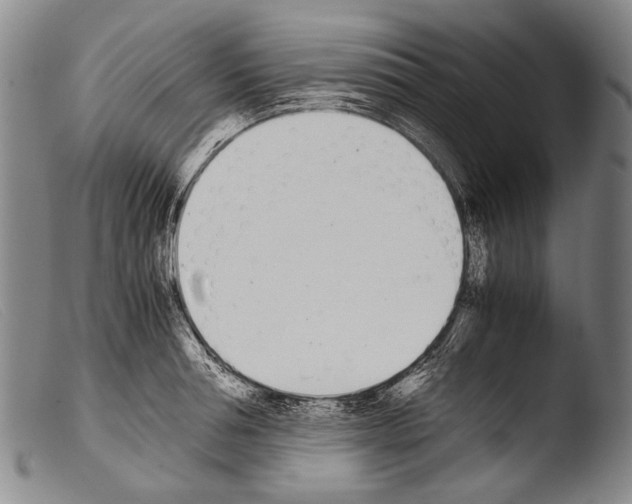 X0000103940994200810311521