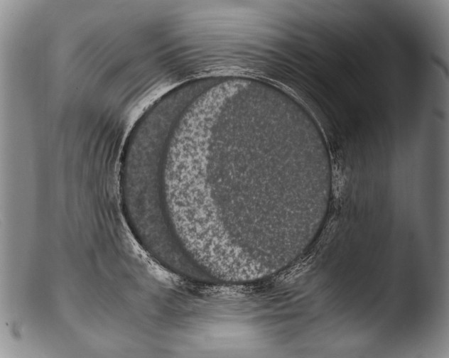 X0000103940995200810311521