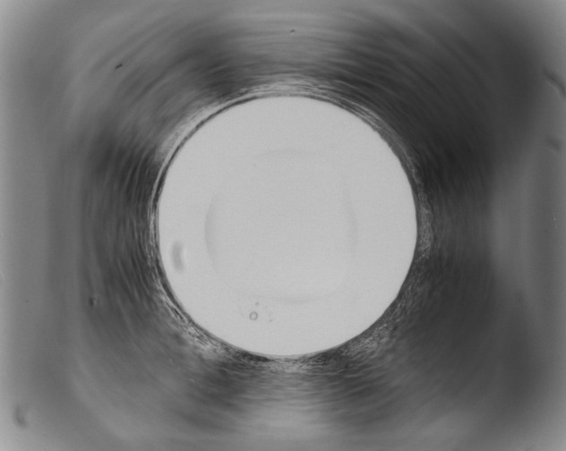 X0000103940996200810311521