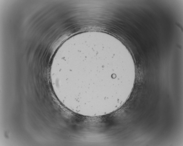 X0000103940997200810311521