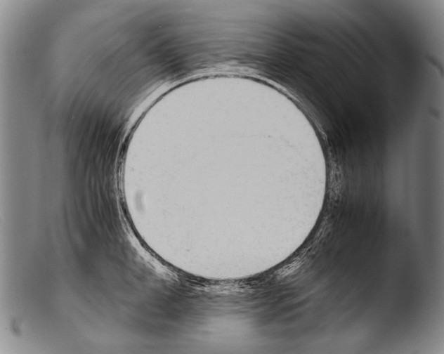 X0000103940998200810311521