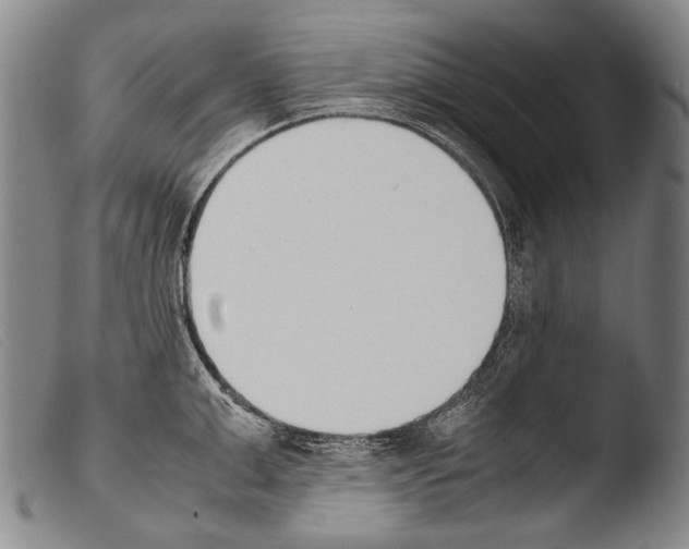 X0000103940999200810311521