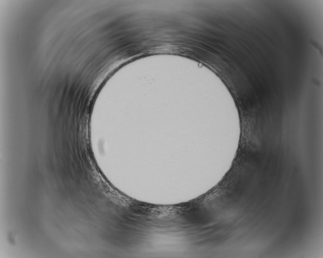 X0000103941000200810311521